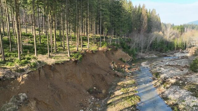 River mountain Jeseniky autumn fall after flood meander drone aerial in sandy delta sand alluvium, benches forest spruce wetland Cerna Opava swamp, quadcopter color view flying, Europe
