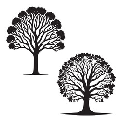 Sycamore tree silhouette set - vector image of sycamore - tree silhouette set - nature tree  leaf    