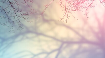 Abstract Tree Shadows on Wall in Sunlight