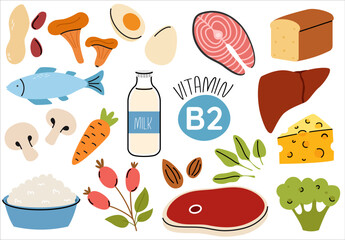 Set of vitamin B2 source dietetic products. Organic nutrition. Eggs, salmon, rose hip, cottage cheese, meat, mushroom, liver, almond, milk