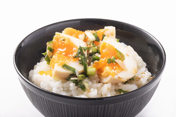 つけだれ煮卵ごはん