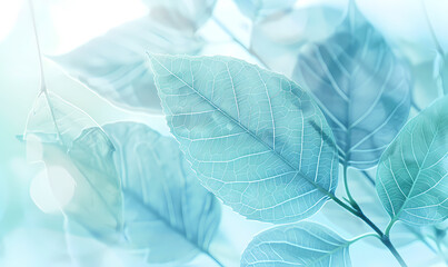 blue background