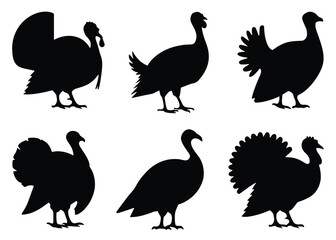 Silhouettes of turkeys thanksgiving poultry, vector illustration.