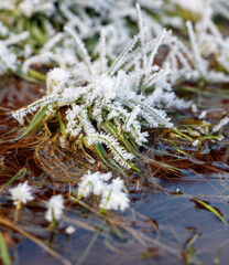 A field of grass covered in frost and snow