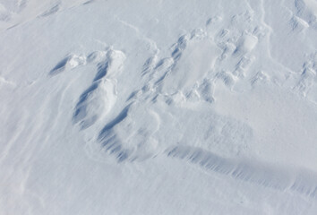 The snow is white and the ground is covered in it