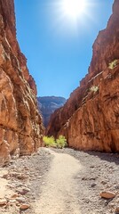 Sunlit Canyon Trail: A Desert Hike Adventure