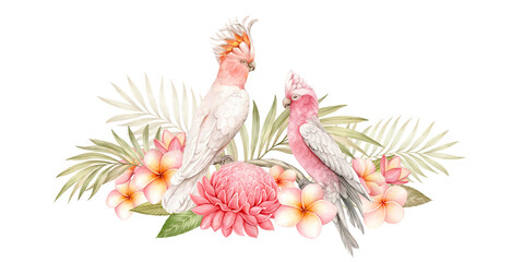 Parrots and tropical plants and flowers composition from hand-drawn watercolor illustrations. Isolated on a white background.
