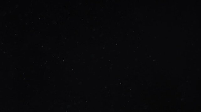 Abstract bokeh of dust particles floating in the air on black background. Slow motion. Abstract animated overlay effect of white particles flying. Loop animation. 4k footage