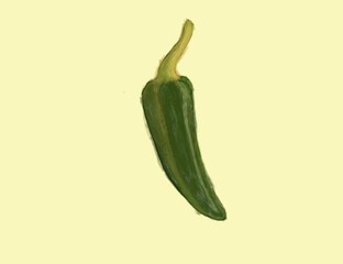 green pepper. green chili pepper. Jalepeno Flat Design Vegetable Icon. Green Chili Pepper Illustration