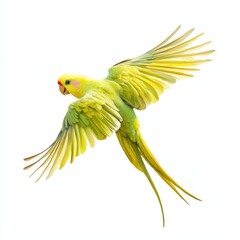A vibrant green parrot in mid-flight, showcasing stunning yellow and green feathers against a white background.