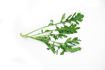 Ruccola salad fresh heap leaf isolated on white, Arugula leaves, a pile of fresh rocket leaves, 
