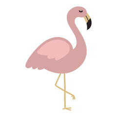 Beautiful pink flamingo