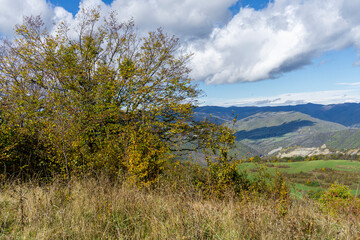 Obraz premium Autumn colored bushes and grass on yellow grass. Mountains, hills and sky with clouds in the background