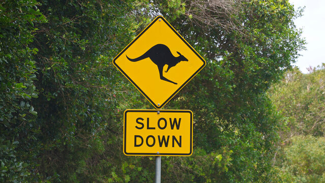 Kangaroo Sign