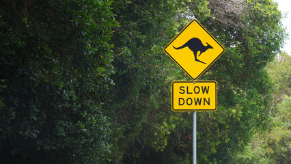 sign on the road kangaroo slow down