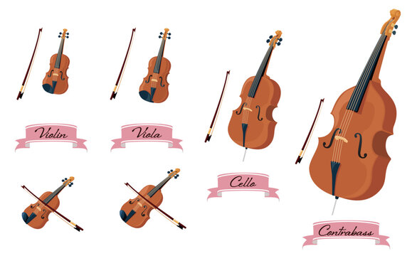弦楽器～stringed instruments～（バイオリン・ビオラ・チェロ・コントラバス）