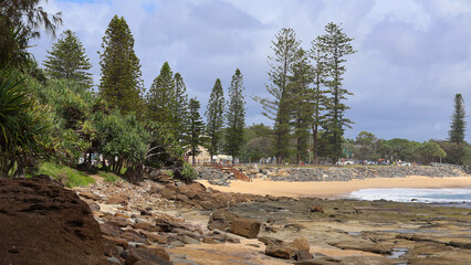 Moffat beach sand, pines, holiday coastal Sunshine Coast