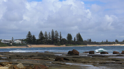 Moffat beach pines Queensland Australian beach 