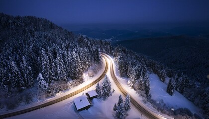 Night winter forest road