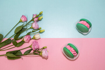 Macarons on a pink and mint color background. Green macaroons with pink filling. Pink flowers
