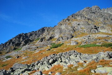 Rugged mountain slope with scattered rocks and golden vegetation under a bright blue sky.