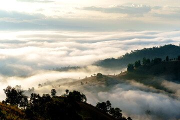 fog over the mountains