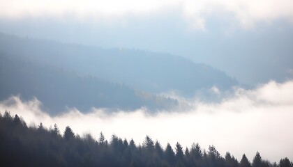 Serene Beauty of Mountains with Mist-Covered Forests