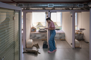 Hotel staff woman filming cats on floor with smartphone, report of pet health for owners. Pet care, feline comfort, cat monitoring, welfare, feline attention, animal communication, pet accommodation