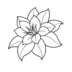 illustration of flower