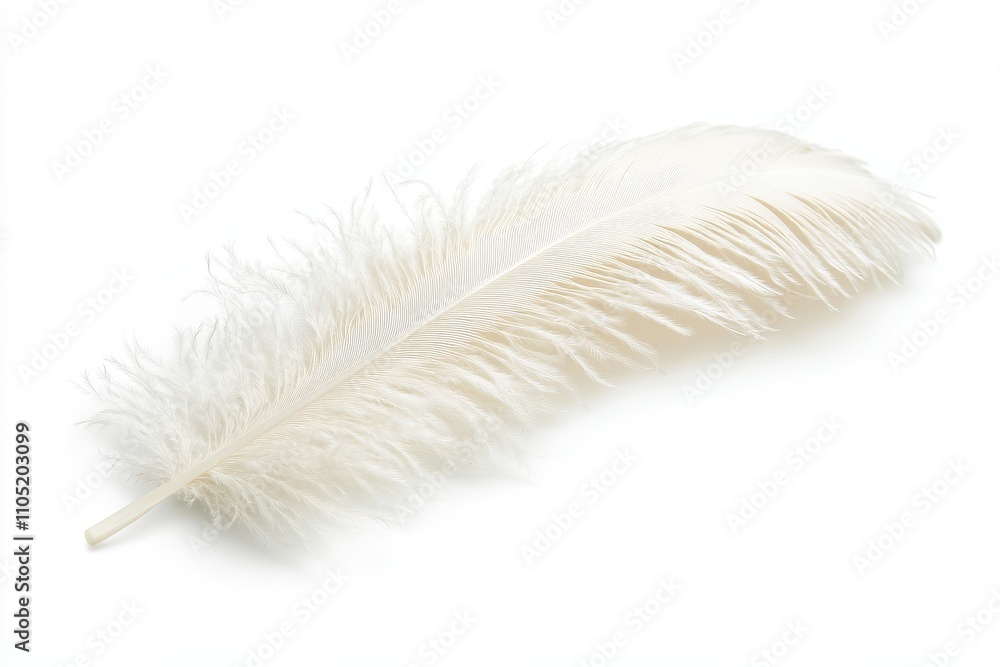Poster a single soft white feather with fine delicate barbs and a slightly curved shape