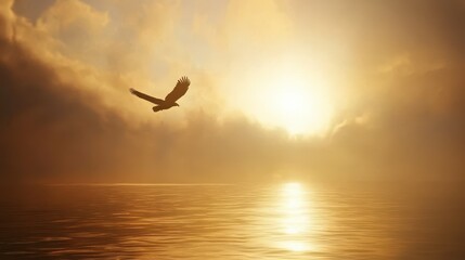 Serene Eagle Soars Over Golden Sunrise