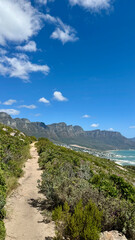 Lions Head Trail inmitten einer grünen Landschaft in Kapstadt mit Blick auf die 12 Apostel und das Meer