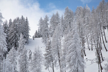 snow covered mountain chalet skiing