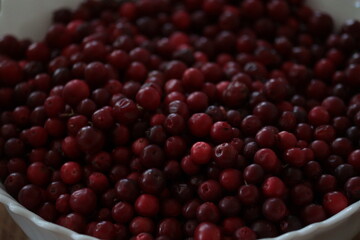 Red ripe cranberries close up