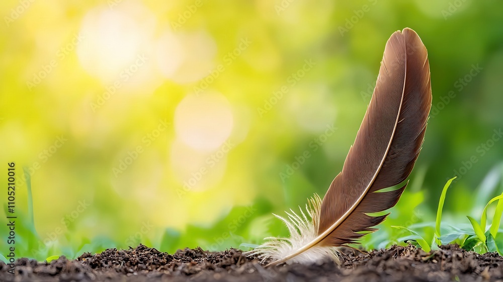 Poster elegant feather on soft soil with green background