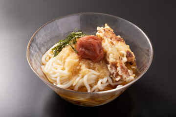 紀州南高梅　冷やし梅おろしうどん（ちくわ天ぷら）