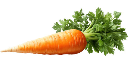 carrots with parsley isolated on white background