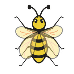 Bee Illustration