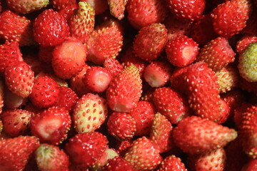 Red ripe strawberries close-up
