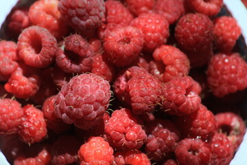 raspberries on a white background