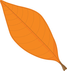 Vector illustration icon fallen leaves that are almost dry are suitable for autumn and for design and other purposes.