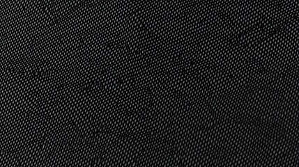 a large fabric swatch in perfect top view with even lighting of black nylon oxford fabric. The fabric has perfectly uniform lighting and texture.