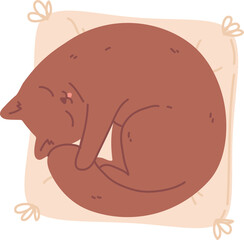 Sleeping cat on pillow top view. Cute pet