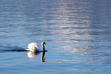 Beautiful scenery and images of Switzerland