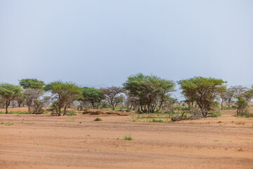 Moroccan Sahara Desert, ancient black volcanic mountains, the Sahara River Oued Ghris, stunning...