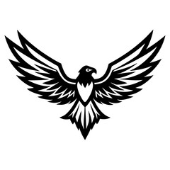 eagle  vector illustration