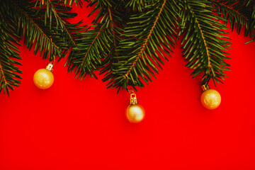 red christmas background. Minimalist Christmas arrangement with fresh evergreen branches and golden pinecones on a vibrant red background, perfect for holiday designs.