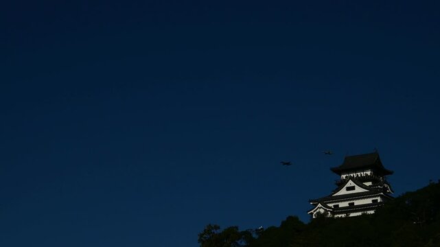 航空自衛隊岐阜基地所属機による異機種大編隊と犬山城 （愛知県犬山市, 2024年11月）