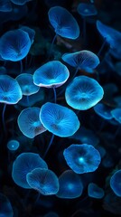 A photograph of glowing blue mushrooms in the dark, with a bokeh effect