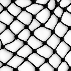 Fototapeta premium Fish Net Isolated